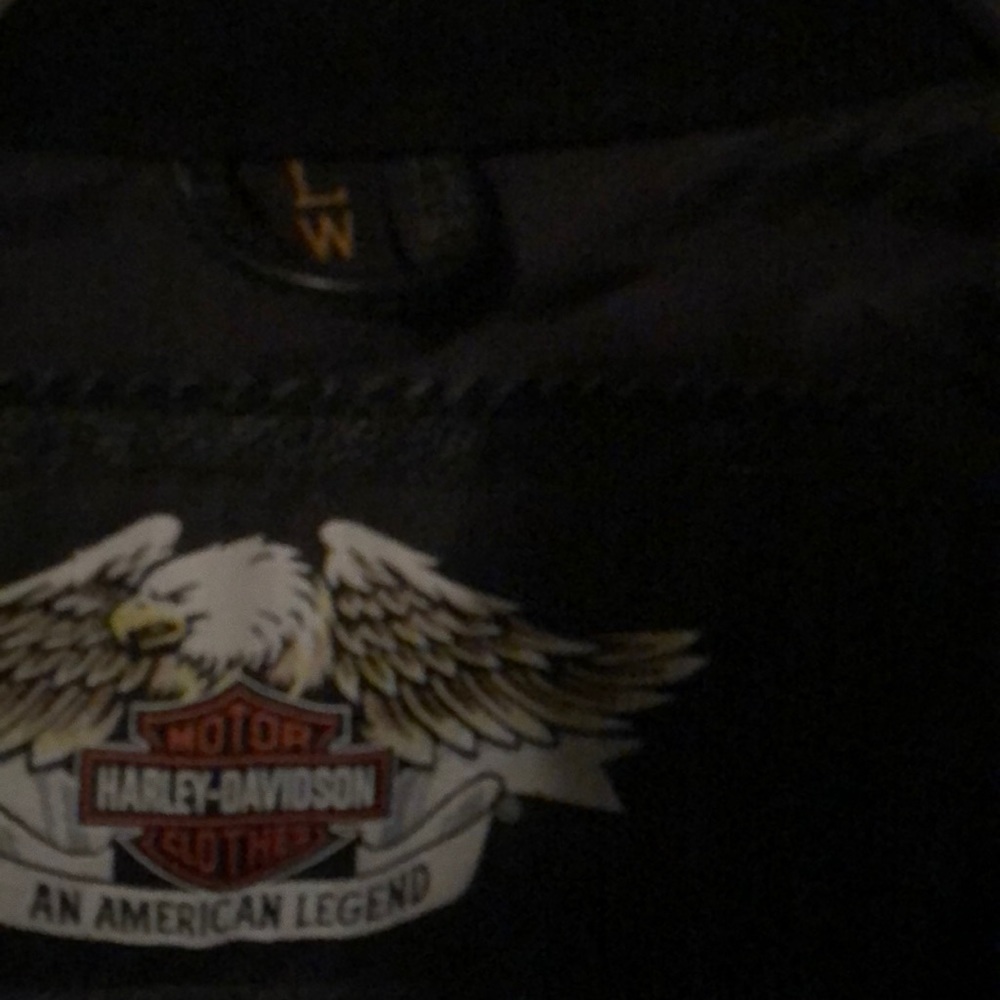 Harley Davidson Riding Leather - Picture 4 of 5